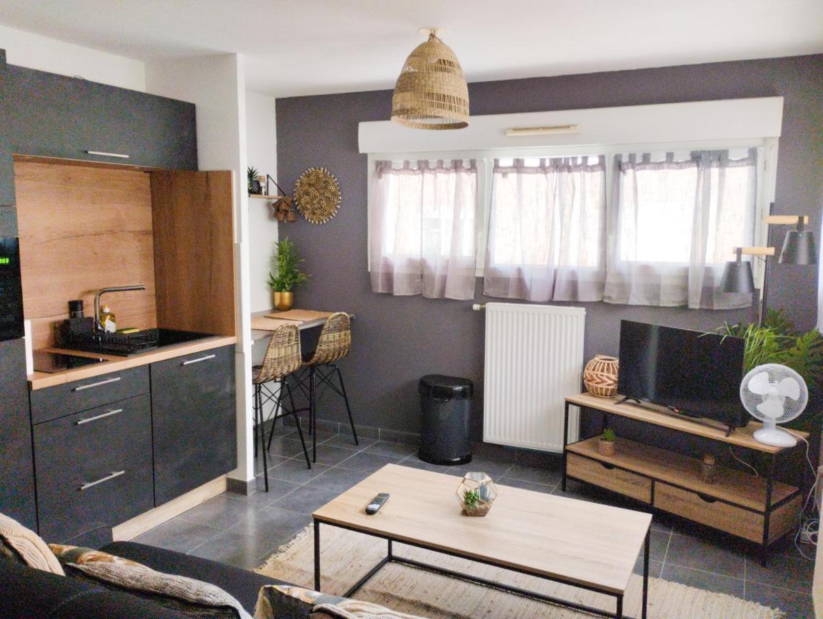 Studio Balzac Apartment Villeurbanne Ngoại thất bức ảnh